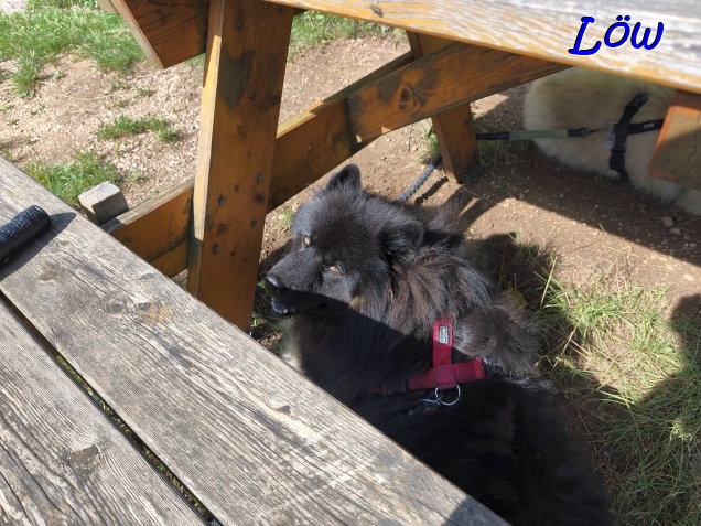 28.7.2025 - Schattensuche